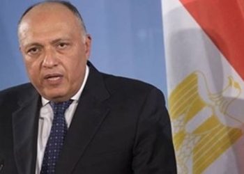 Cairo hosts Egyptian-Chinese talks at level of FMs Sunday