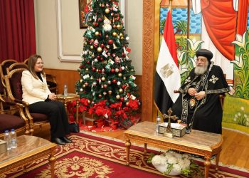 Planning, parliamentary affairs ministers greet Pope Tawadros II on Eastern Xmas