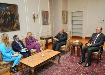 FM reiterates Egypt’s commitment to delivering humanitarian aid to Gaza