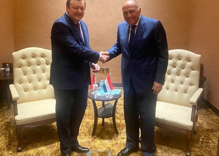 Egypt’s Foreign Minister Sameh Shoukry had a meeting with his Belarusian counterpart Sergei Aleinik to discuss boosting bilateral cooperation.