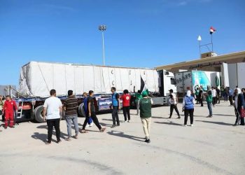 A look at Egyptian support to Gaza 100 days on Israel’s onslaught