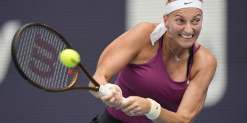 Kvitova puts tennis career on hold