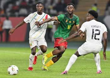 Cameroon, Guinea share spoils