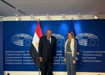 Shoukry stresses importance of constructive dialogue between Egypt, EP