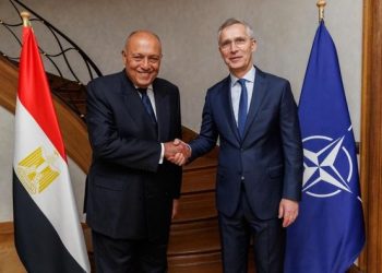 Shoukry, NATO secretary discuss efforts to launch ITPP programme