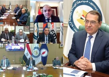 Companies of petroleum public sector witness unprecedented development: Petroleum min.