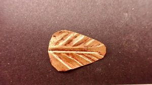 Roman mummies with golden tongues unearthed in Egypt’s Al-Bahnasa 4 - Egyptian Gazette Roman mummies with golden tongues unearthed in Egypt’s Al-Bahnasa 3 - Egyptian Gazette