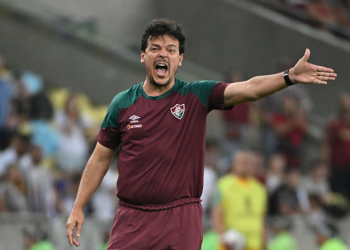 Brazil sacks Diniz and looks at Dorival Jr