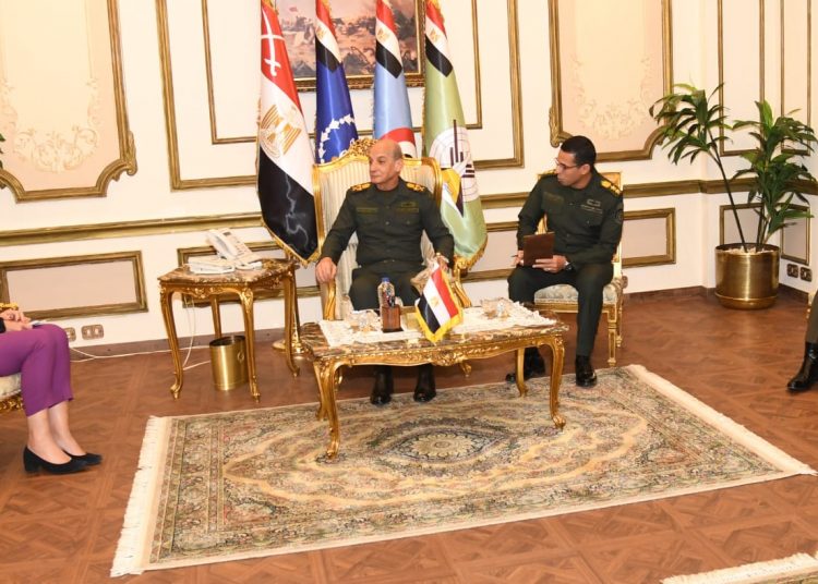 Defence chief, UN official discuss situation in Gaza 1 - Egyptian Gazette