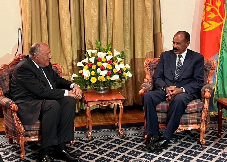 Egypt, Eritrea keen on boosting ties 1 - Egyptian Gazette Egypt's Foreign Minister Sameh Shoukri (L) met with Eritrean President Isaias Afwerki during his visit to Asmara, where he delivered a message from President Abdel Fattah El Sisi.