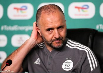 Algeria end Belmadi’s reign as Desert Foxes coach