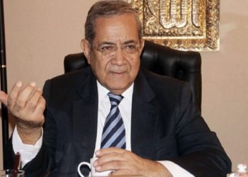 Egypt warned from military escalations in Red Sea zone would lead to regional war: ex-assistant FM to MENA