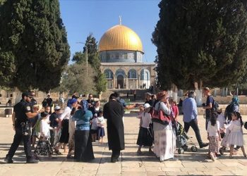 Scores of settlers storm Aqsa Mosque