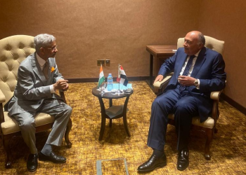 Egyptian, Indian FMs renew commitment to work together within framework of NAM