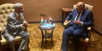 Egyptian, Indian FMs renew commitment to work together within framework of NAM