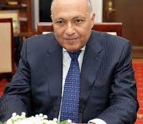 Egypt, Chinese FMs discuss Gaza developments
