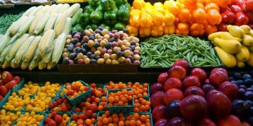 Egypt mulls increasing frozen fruit and vegetables exports to Saudi Arabia 1 - Egyptian Gazette Egypt mulls increasing frozen fruit and vegetables exports to Saudi Arabia