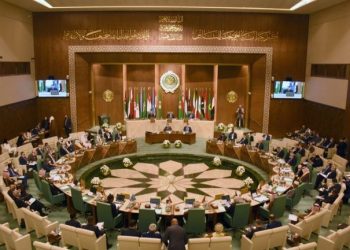 AL Council welcomes ICJ ruling against Israel