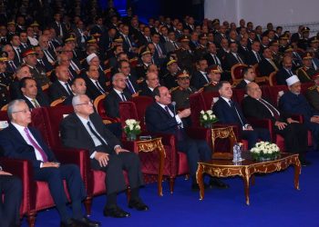 Sisi: I am aware of extent of suffering, economic pressures in Egypt