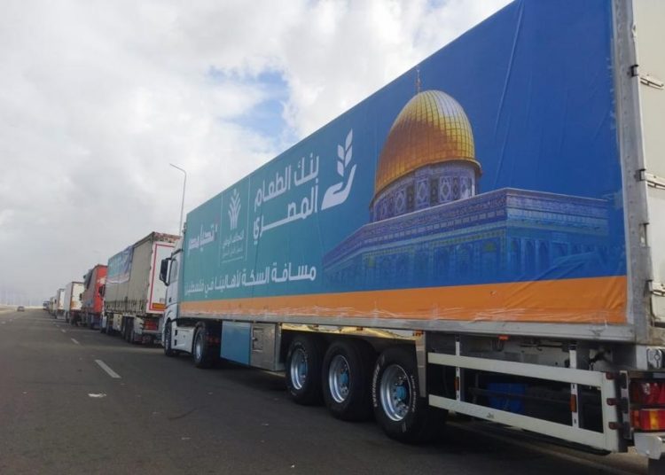 Egypt denies Israeli allegations at ICJ 1 - Egyptian Gazette