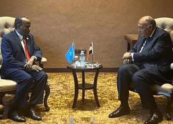 Egypt underlines solidarity with Somalia against attempts to violate sovereignty