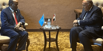 Egypt underlines solidarity with Somalia against attempts to violate sovereignty