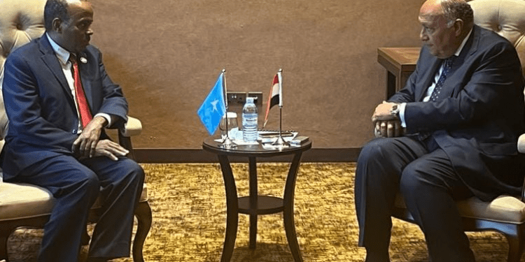 Egypt Underlines Solidarity With Somalia Against Attempts To Violate ...