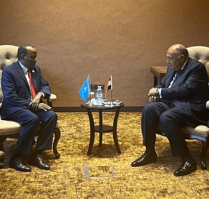 Egypt Underlines Solidarity With Somalia Against Attempts To Violate ...