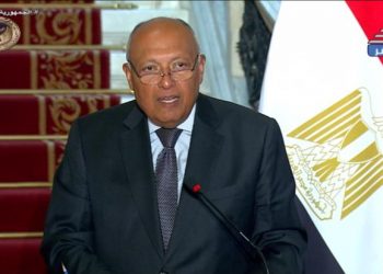 Shoukry reiterates Egypt’s call for immediate ceasefire in Gaza