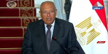 Shoukry reiterates Egypt’s call for immediate ceasefire in Gaza