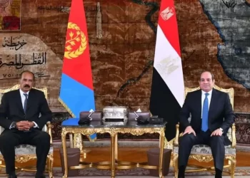 Egypt, Eritrea agree to move ahead with co-operation
