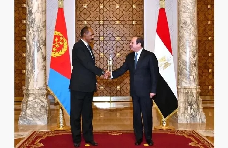 Sisi, Afwerki affirm keenness on development of bilateral relations, cooperation 1 - Egyptian Gazette