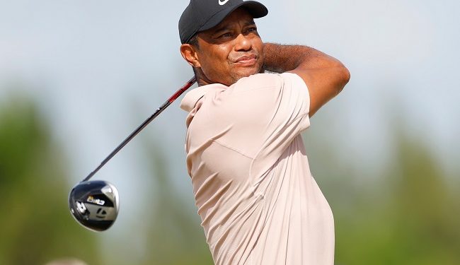 Tiger S 2024 Debut Will Be At Riviera Egyptian Gazette   2nd Lead 1 2 650x375 