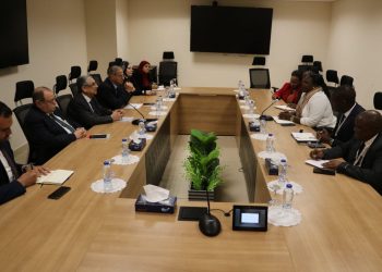 Egypt, Tanzania seek to boost co-operation in field of electricity