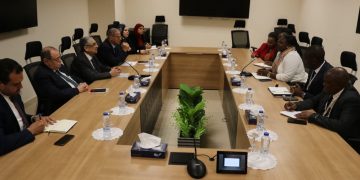 Egypt, Tanzania seek to boost co-operation in field of electricity