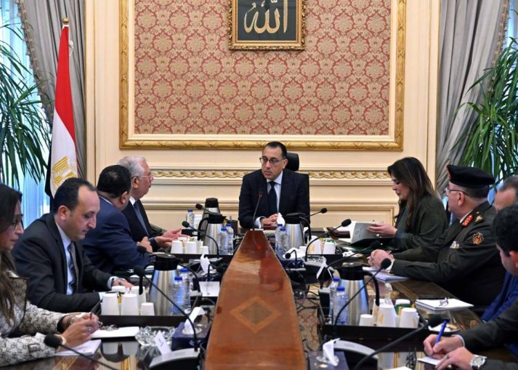 PM orders implementation of plan to increase cultivation of corn, soya beans 1 - Egyptian Gazette
