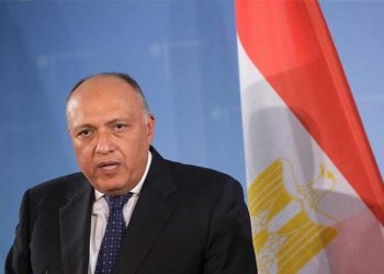 Egyptian, Cypriot FMs hold in camera meeting in Nicosia