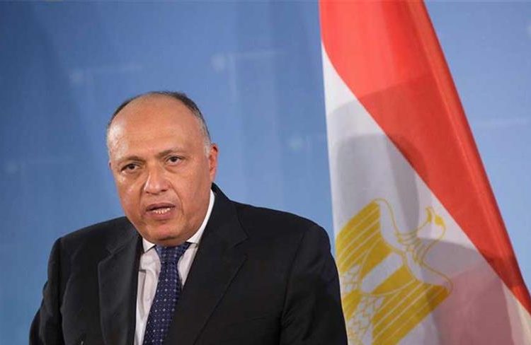 Egyptian, Cypriot FMs hold in camera meeting in Nicosia 1 - Egyptian Gazette