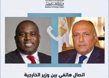 Shoukry urges launching serious peace process with set timeframe to establish independent Palestinian state