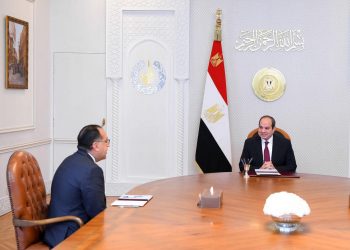 PM briefs president Sisi on outcome of his participation in WGS 2024 in Dubai