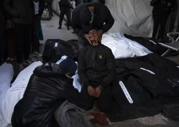 Israeli occupation forces free two hostages from captivity in Gaza