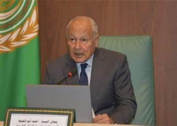 Effect of deliberate destruction caused by Israel in Gaza to remain for decades: Abul Gheit