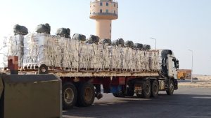 Egypt, UAE step up airdrop tons of humanitarian aid on N. Gaza 3 - Egyptian Gazette