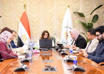 Emigration min. holds talks with Egyptian expats in Horn of Africa