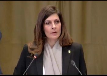 Egypt delivers strong statement in ICJ hearing on Israeli occupation