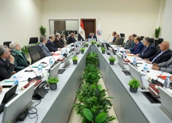 Health min. directs carrying out presidential instructions to set up new hospital in NAC