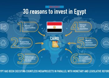 Egypt has significant potential to draw more foreign direct investment