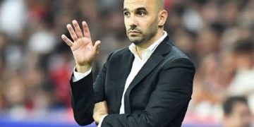 Morocco keeps its coach despite AFCON failure 1 - Egyptian Gazette Morocco keeps its coach despite AFCON failure