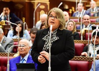 Senate undersecretary hails progress achieved in Egypt’s transport sector