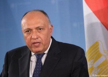 Shoukry heads for Rio de Janeiro to attend G20 Foreign Ministers’ Meeting